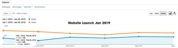 Website-traffic-drop-Jan19